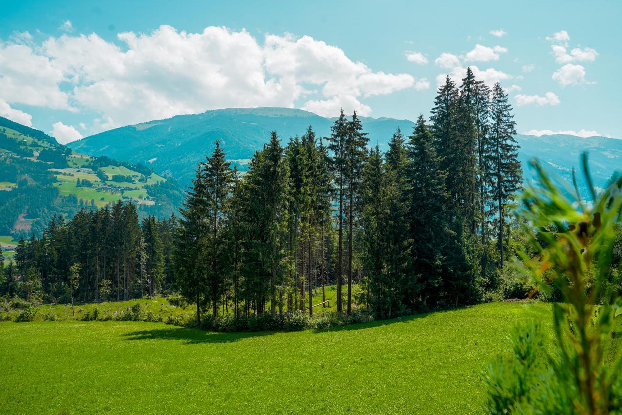 Chalet Wildruh Ried im Zillertal Exteriör bild
