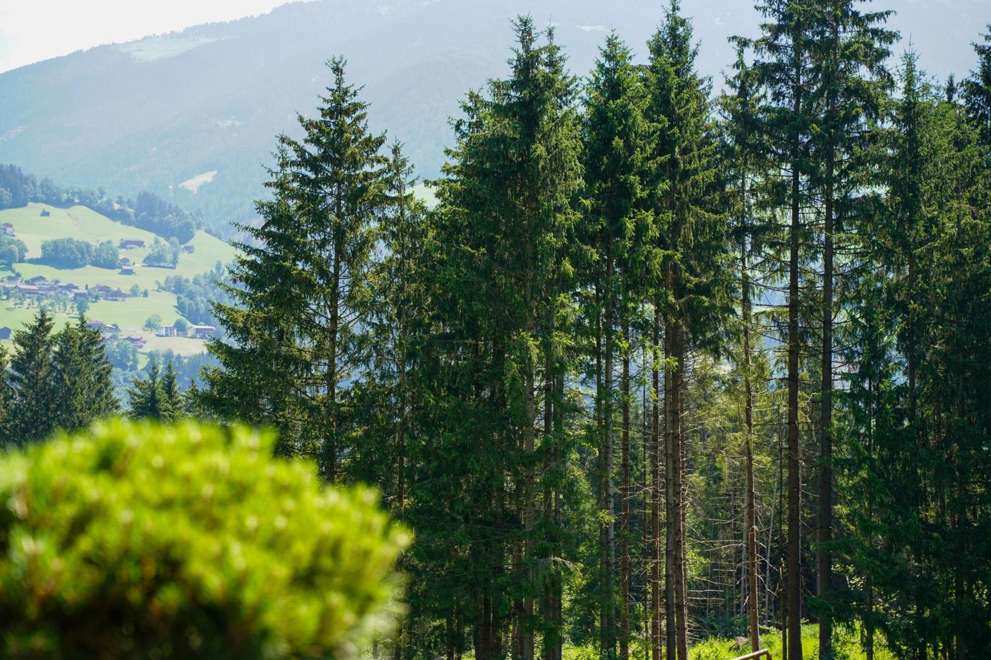 Chalet Wildruh Ried im Zillertal Exteriör bild